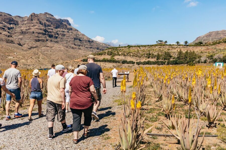 South Gran Canaria: Off-Road Valleys & Villages Jeep Tour - Key Points to Know Before You Go