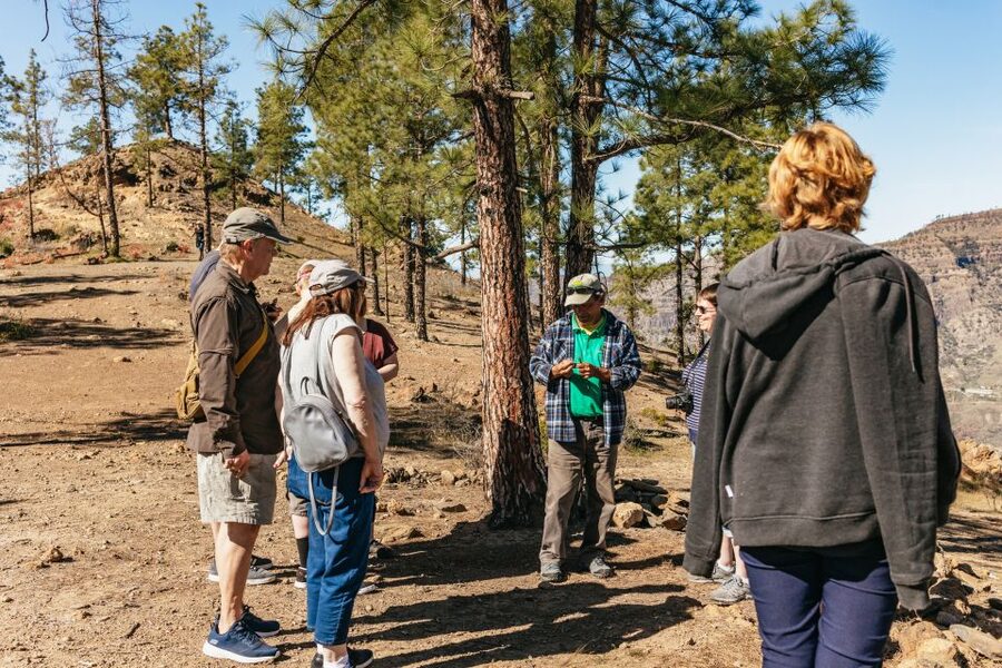 South Gran Canaria: Off-Road Valleys & Villages Jeep Tour - Roque Noblo Viewpoint and the Presa de Chira Segment