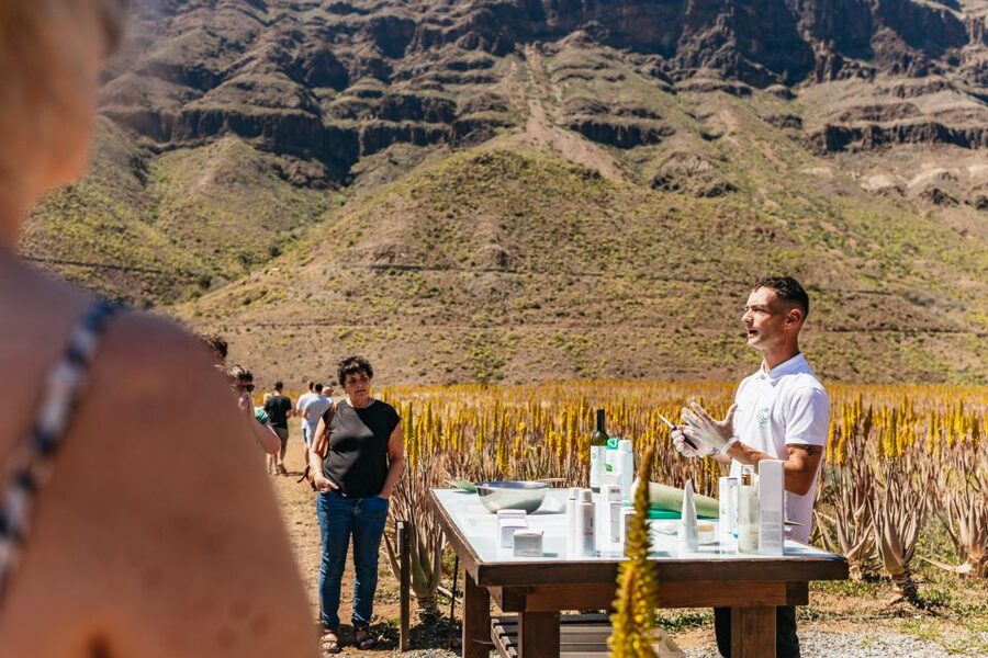 South Gran Canaria: Off-Road Valleys & Villages Jeep Tour - Mirador Astronómico de la Degollada de las Yeguas, Then the Palm Valley