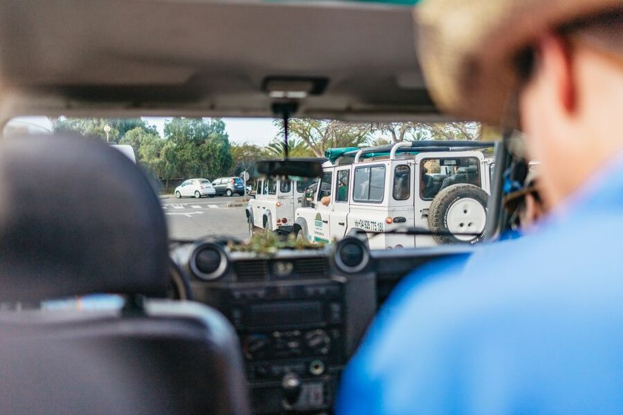 South Gran Canaria: Off-Road Valleys & Villages Jeep Tour - Price and Value, Plus Lunch, Aloe Vera, and Other Extras