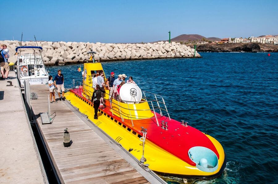 Southern Tenerife: 50-Minute Submarine Dive - Who this Amarilla submarine outing fits best