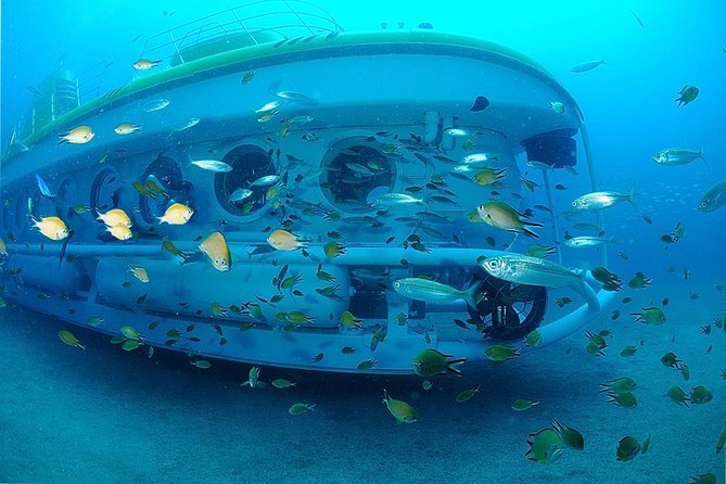 Submarine Safaris Lanzarote - Price and value: what $83.68 includes, and what it does not