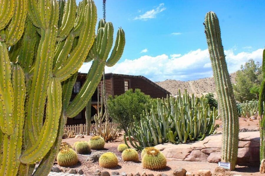 Tabernas: MiniHollywood Oasys Entry Ticket & Optional Buffet - Key things to know before you go