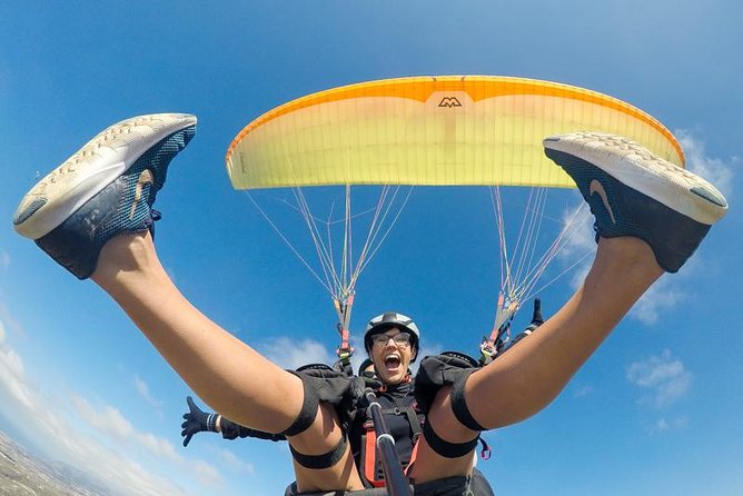 Tandem Paragliding Flight in South Tenerife - Key points I’d focus on before booking