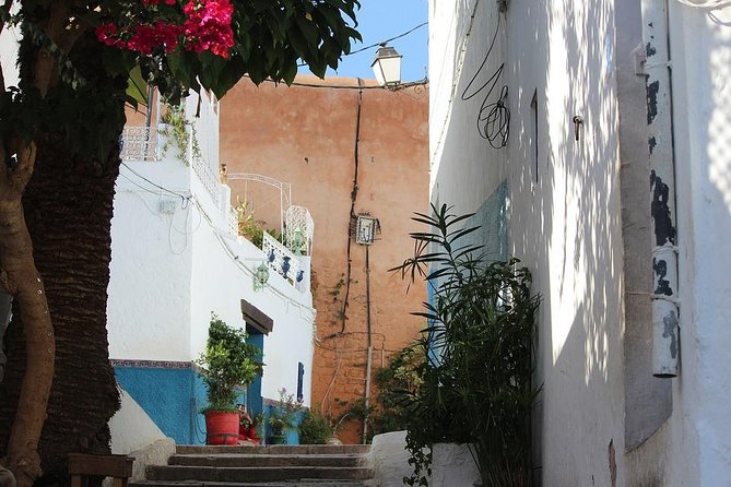 Tangier Day Trip from Seville with Lunch Included & Local Guide - Comfort and timing on a 15-hour day trip