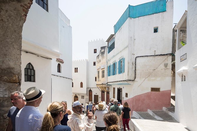 Tangier, Morocco Day Trip from Costa del Sol - Price and Logistics: Is $198.48 worth a 15-hour day?