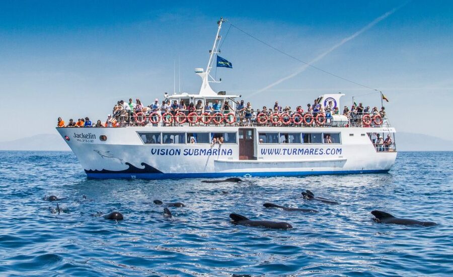 Tarifa: Whale & Dolphin Watching in the Strait of Gibraltar - The sailing part: views matter when the water is quiet