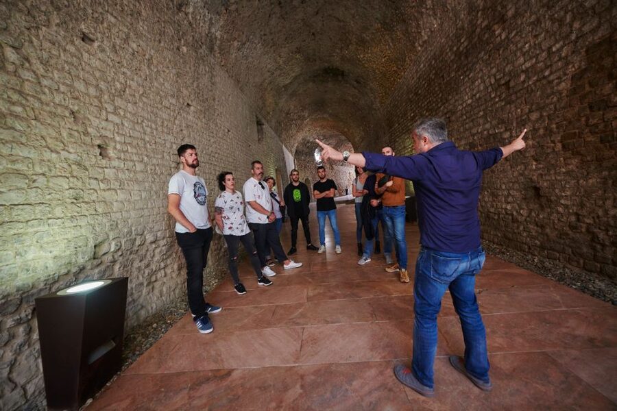Tarragona: Roman Heritage Guided Walking Tour - Circus vaults and the thrill of chariot-race history
