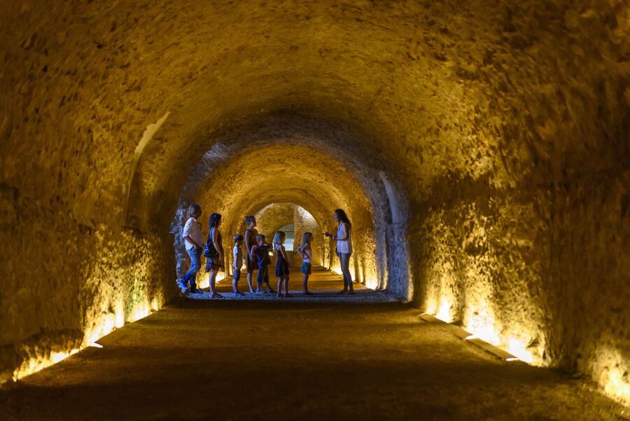 Tarragona: Roman Heritage Guided Walking Tour - Should you book this Tarragona Roman Heritage Guided Walking Tour?