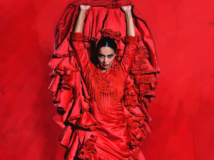 Teatro Flamenco Barcelona: Authentic Live Flamenco Show - Is it good value at about $26 for 1 hour of live flamenco?