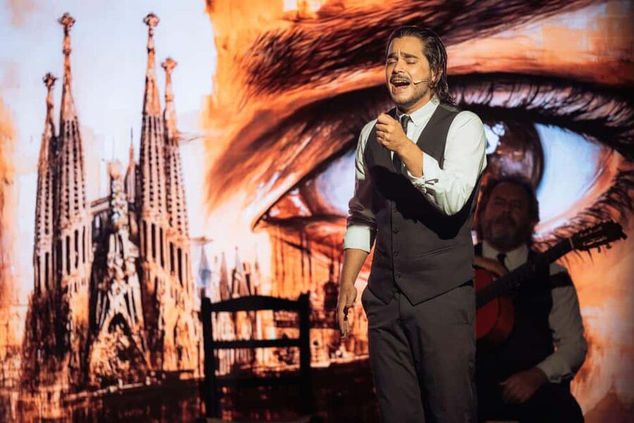 Teatro Flamenco Barcelona: Authentic Live Flamenco Show - Who should book Teatro Flamenco Barcelona, and who should think twice?