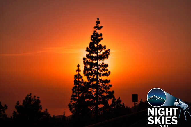 Teide National Park Sunset & Stargazing with Dinner (Star Safari) - First, the value check: what you’re really paying for