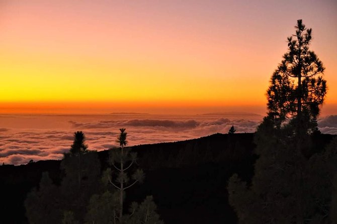 Teide National Park Sunset & Stargazing with Dinner (Star Safari) - Dinner at Restaurante 7 Cañadas: fuel with a view
