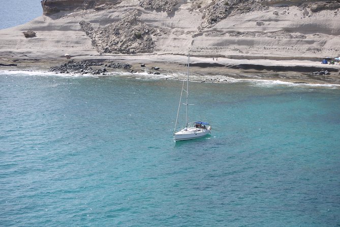 Tenerife 3-Hour Discover Whales and Dolphins - Key things that make this trip worth your attention