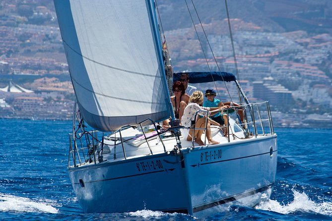 Tenerife 3-Hour Discover Whales and Dolphins - What happens out on the open sea (and why the “distance” is part of it)