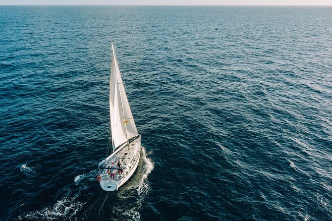 Tenerife 3-Hour Discover Whales and Dolphins - On-board comfort: food, drinks, and small-group attention