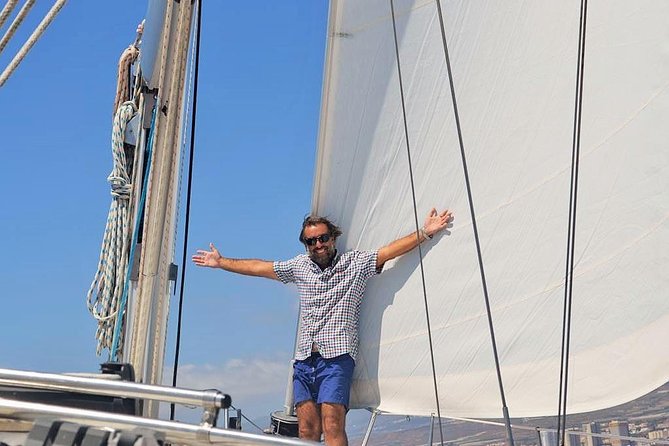 Tenerife 3-Hour Discover Whales and Dolphins - What you might see: whales, dolphins, turtles, and seabirds