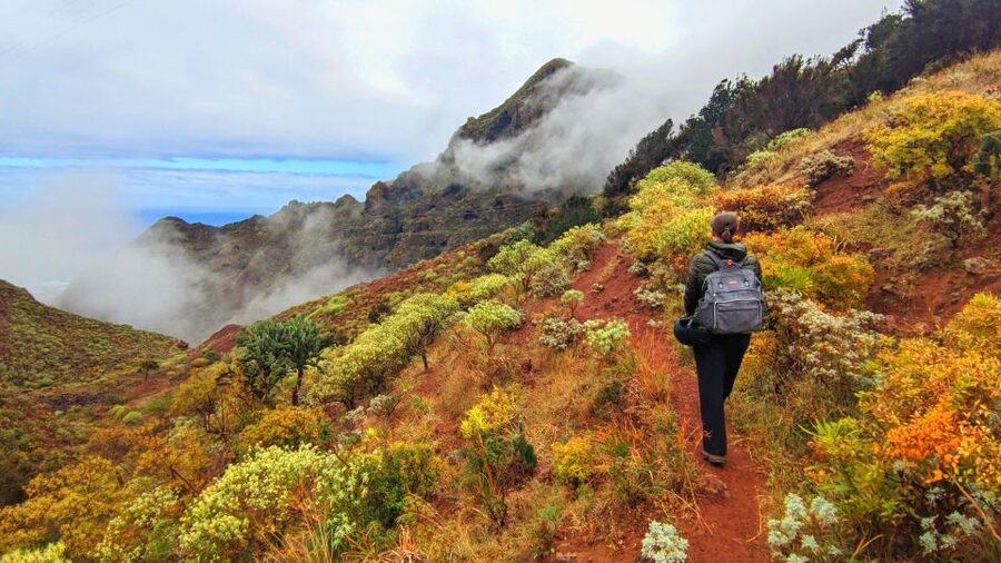 Tenerife: Anaga Mountains & Enchanted Forest Hiking Tour - Why Anaga’s “enchanted” forest feels like a different Tenerife