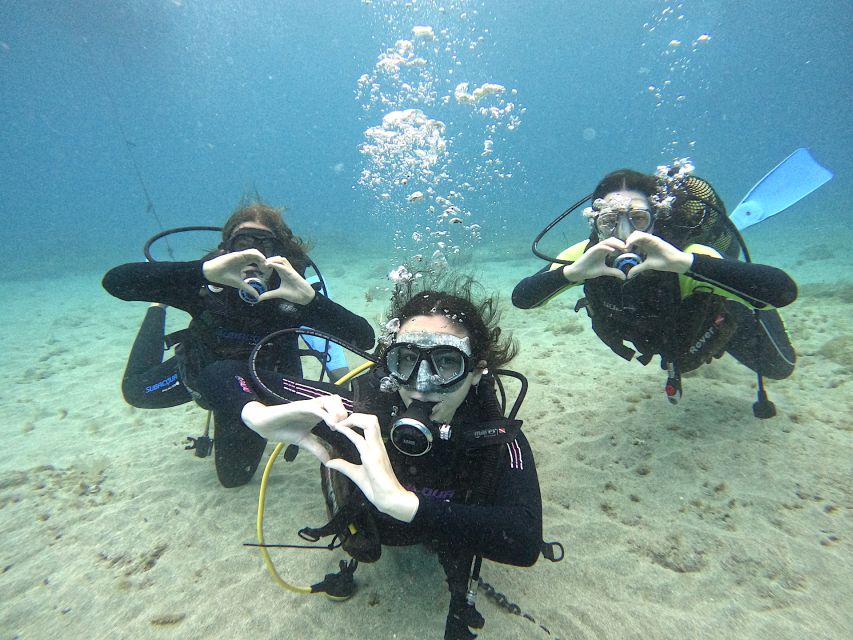 Tenerife: Beginner's Dive at a Spot with Turtle Sightings - Key highlights worth planning around