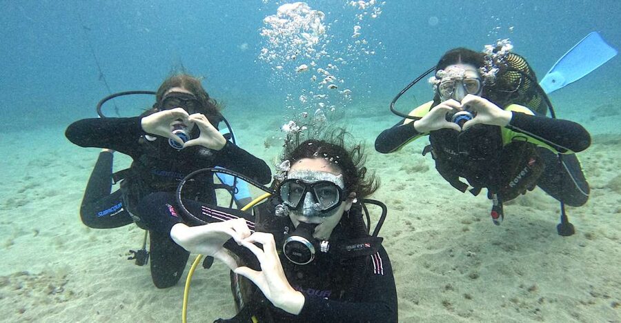 Tenerife: Beginner's Dive at a Spot with Turtle Sightings - First stop in Puerto Colón: where the coaching starts