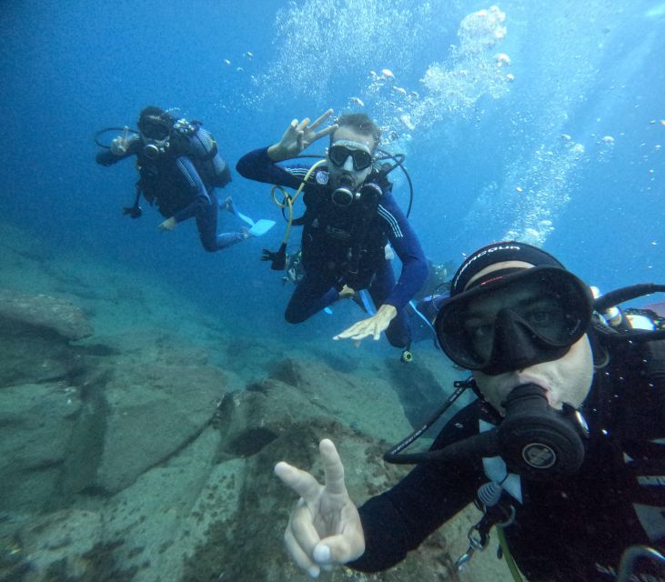 Tenerife: Beginner's Dive at a Spot with Turtle Sightings - Your underwater plan: controlled depth and easy pacing