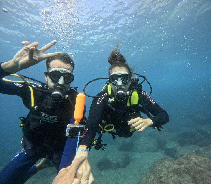 Tenerife: Beginner's Dive at a Spot with Turtle Sightings - Wildlife odds: sea turtles are possible, not guaranteed