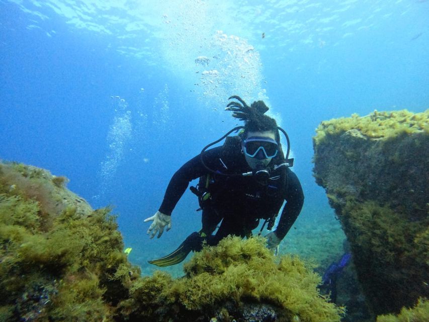 Tenerife: Beginner's Dive at a Spot with Turtle Sightings - Snorkeling option during the group rotation