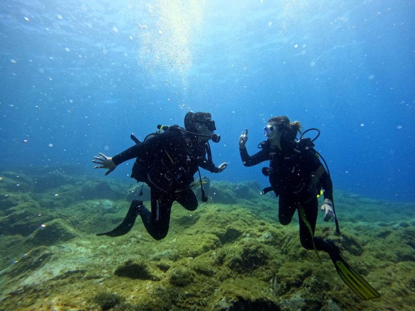 Tenerife: Beginner's Dive at a Spot with Turtle Sightings - Price and value: what $82 really covers for 2 hours