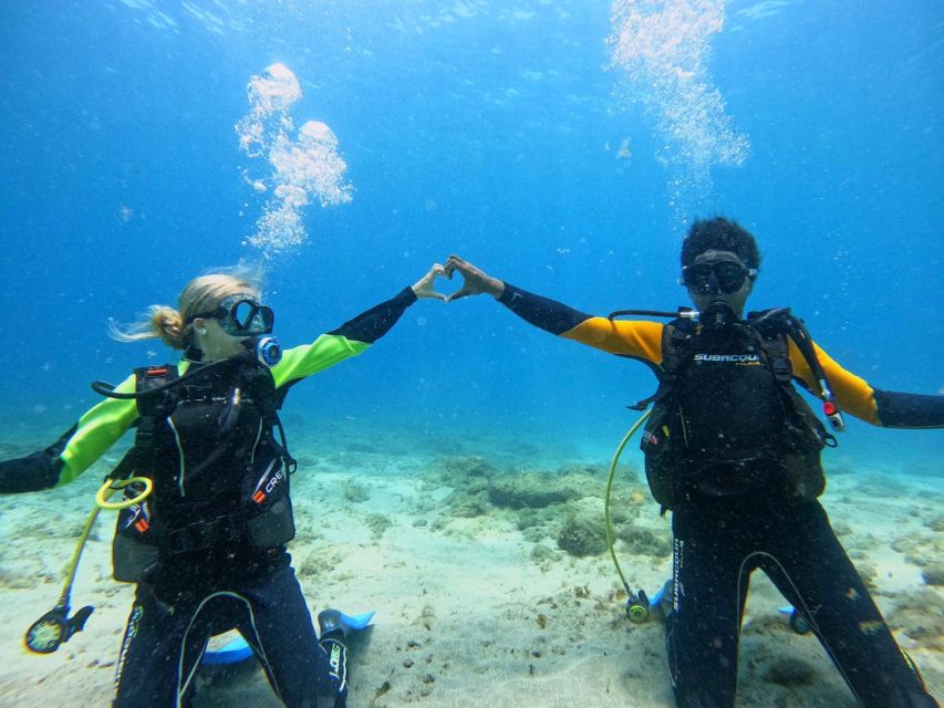 Tenerife: Beginner's Dive at a Spot with Turtle Sightings - Logistics after your session: the 300-meter rule and weather reality