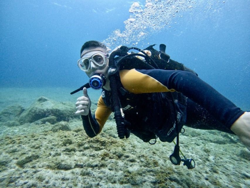 Tenerife: Beginner's Dive at a Spot with Turtle Sightings - The speedboat ride that keeps things low-stress