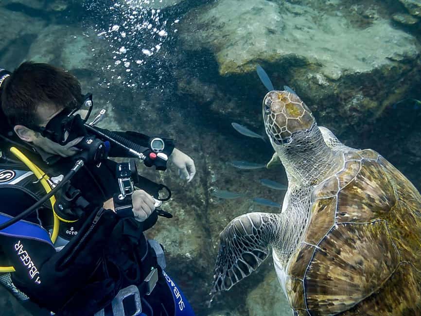 Tenerife: Beginner Scuba Dive Experience - Key points before you go