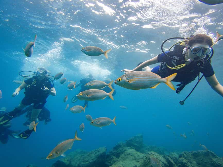 Tenerife: Beginner Scuba Dive Experience - Tenerife’s best angle for a first underwater experience