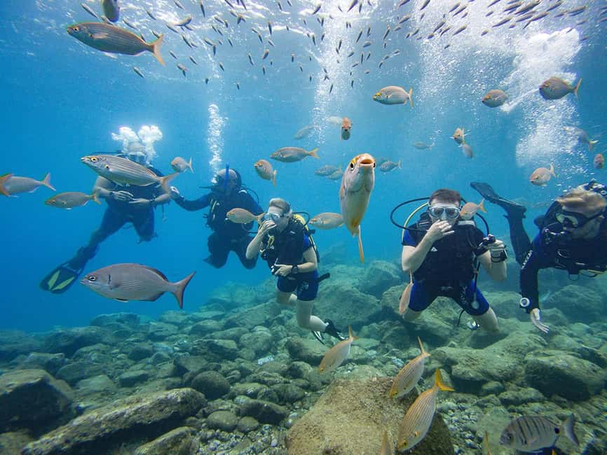 Tenerife: Beginner Scuba Dive Experience - The 30-minute safety briefing that keeps you focused