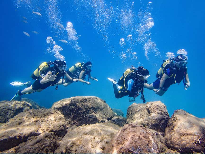 Tenerife: Beginner Scuba Dive Experience - Shallow-water practice: what you actually do under supervision
