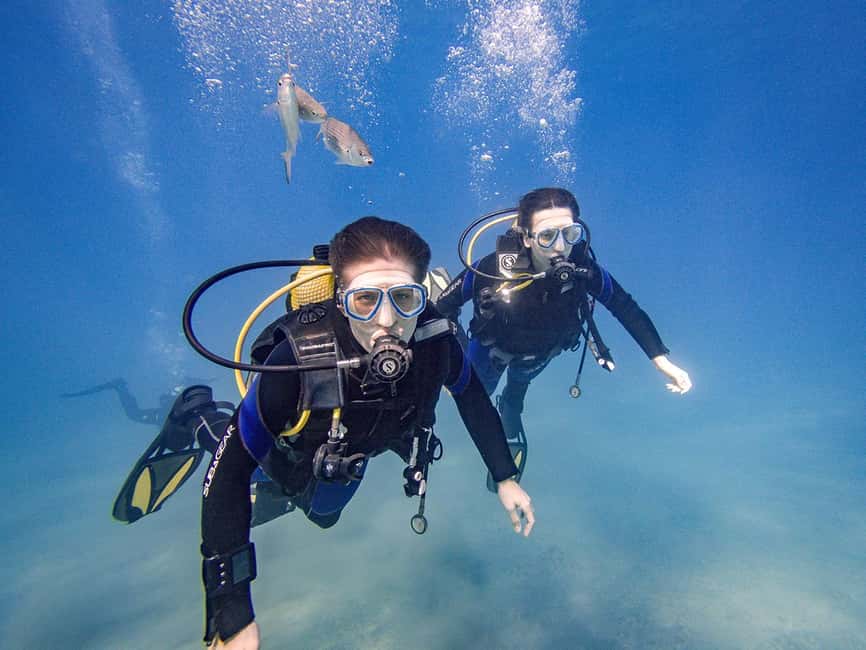 Tenerife: Beginner Scuba Dive Experience - Equipment, guide support, and why Doina’s style matters