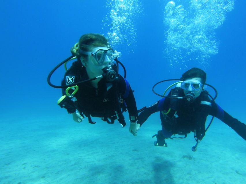 Tenerife: Beginner Scuba Dive Experience - Price value: why $83 makes sense for a beginner session
