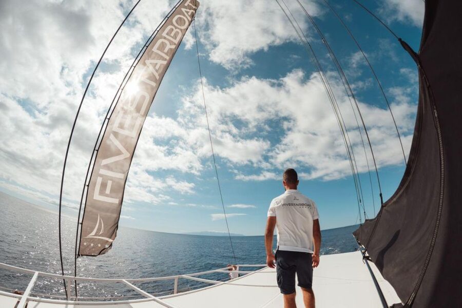 Tenerife: Catamaran Cruise with Brunch and Unlimited Drinks - Marine Life Expectations, Not Guarantees