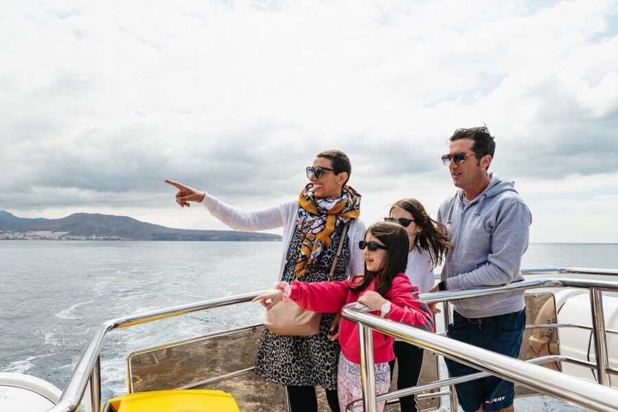 Tenerife: Eco-Yacht Whale and Dolphin Watching and Swimming - Motion sickness, calima, and how to set yourself up for comfort