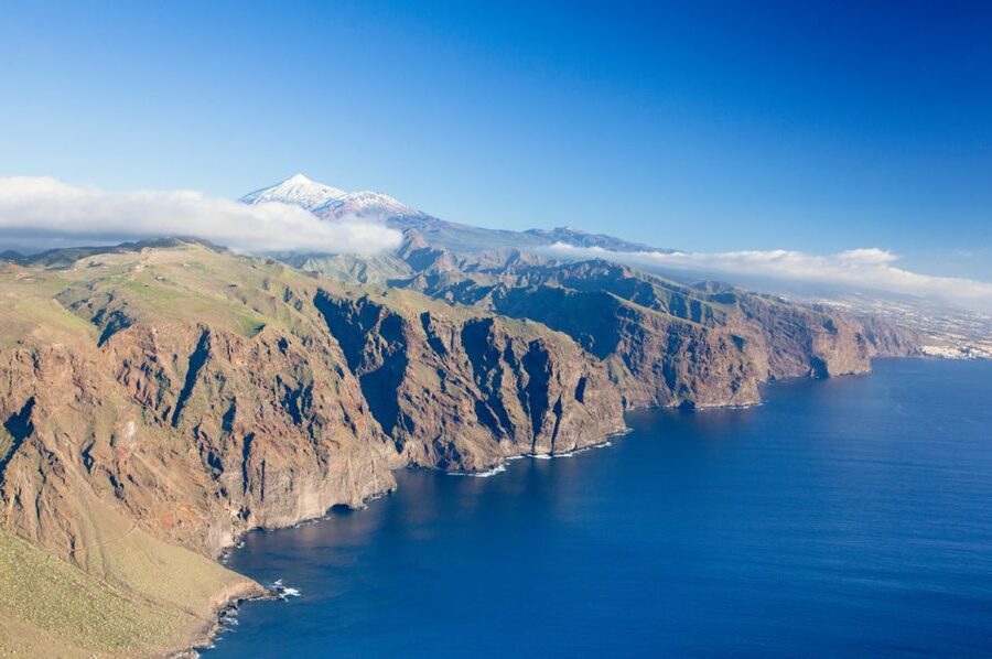 Tenerife: Full-Day Guided Island Tour - Icod de los Vinos and the Dragon Tree moment