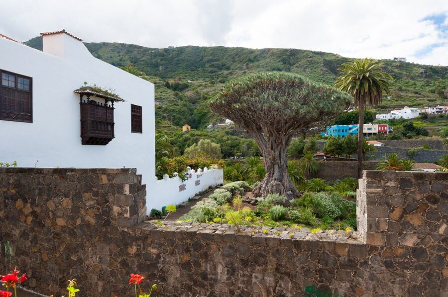Tenerife: Full-Day Guided Island Tour - South pickup, then straight to Los Gigantes cliffs