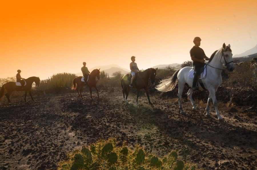 Tenerife: Horseback Ride with Instructor - Riding over volcanic lava beds with ocean views