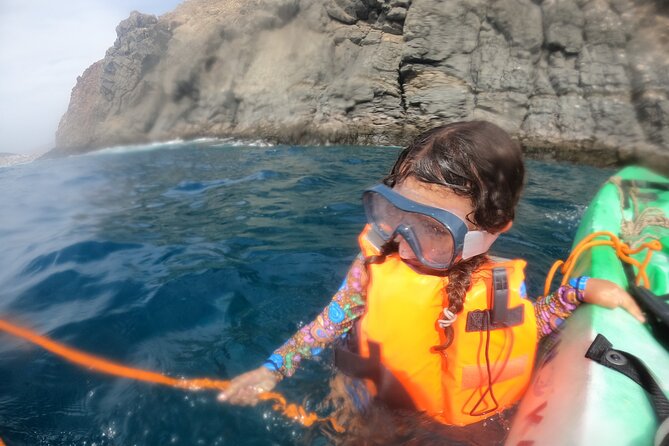 Tenerife: Kayak and snorkel with marine life safari - Snorkeling stop: colorful fish time, plus options if you want to skip