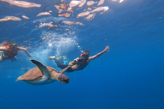 Tenerife: Kayak and snorkel with marine life safari - Breaks, snacks, and the little touches that make it feel cared for