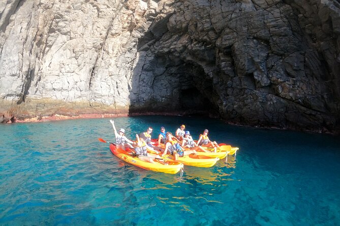 Tenerife: Kayak and snorkel with marine life safari - What this tour costs, and whether it’s good value