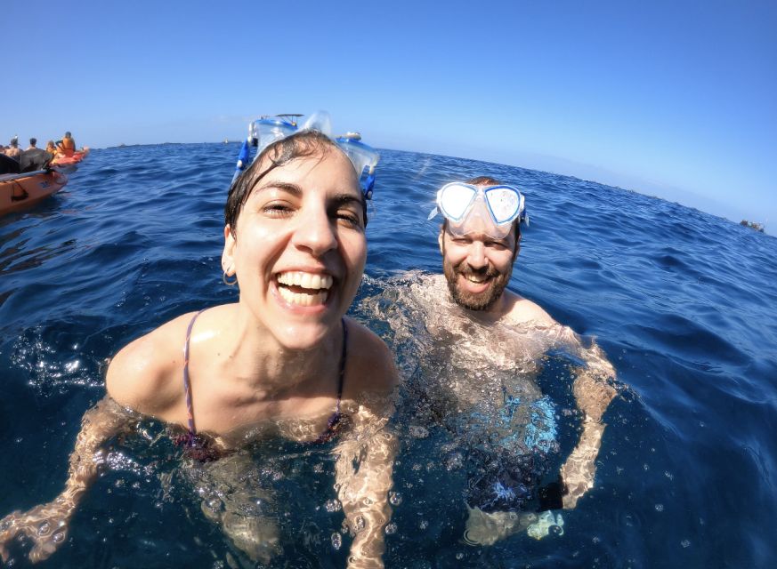 Tenerife: Kayak Safari and Snorkel in a Marine Reserve - Gear, what to bring, and small choices that make the day better