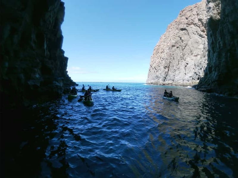 Tenerife: Kayak & Snorkel with Local Fauna, Photos Included - Volcanic Coastline to Sea Caves: Black Cliffs, Blue Water, and Wildlife Chances
