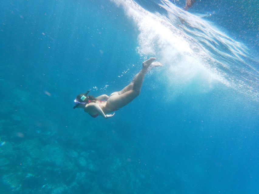 Tenerife: Kayak & Snorkel with Local Fauna, Photos Included - Dolphin and Turtle Watching: How Guides Keep It Respectful