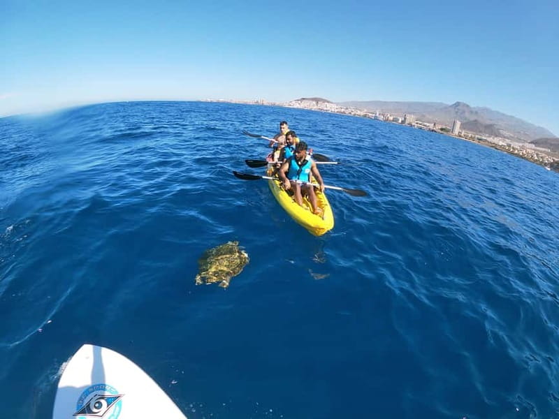 Tenerife: Kayak & Snorkel with Local Fauna, Photos Included - Gear, Photos, Snack, and Showers: The Little Extras That Make It Worth $36