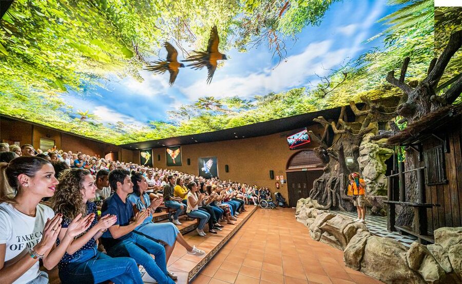 Tenerife: Loro Parque Entry Ticket - Key Things I’d Prioritize at Loro Parque