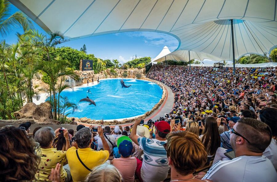 Tenerife: Loro Parque Entry Ticket - Orca Ocean and the Other Water Presentations